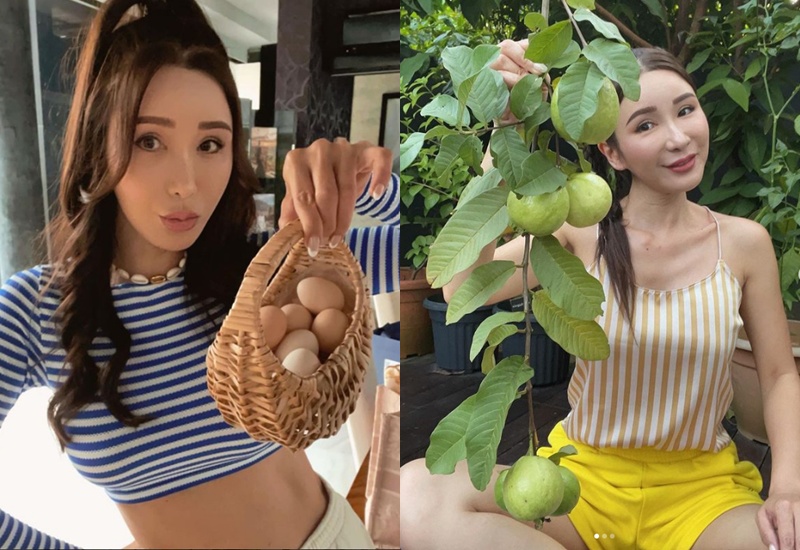 Gần đây, Jamie Chua còn có sở thích mới là làm vườn, trồng cây, nuôi gà trong căn biệt thự 63 triệu USD (hơn 1.400 tỷ đồng). Cô còn lập hẳn một trang Instagram để khoe những thành quả làm nông của mình.
