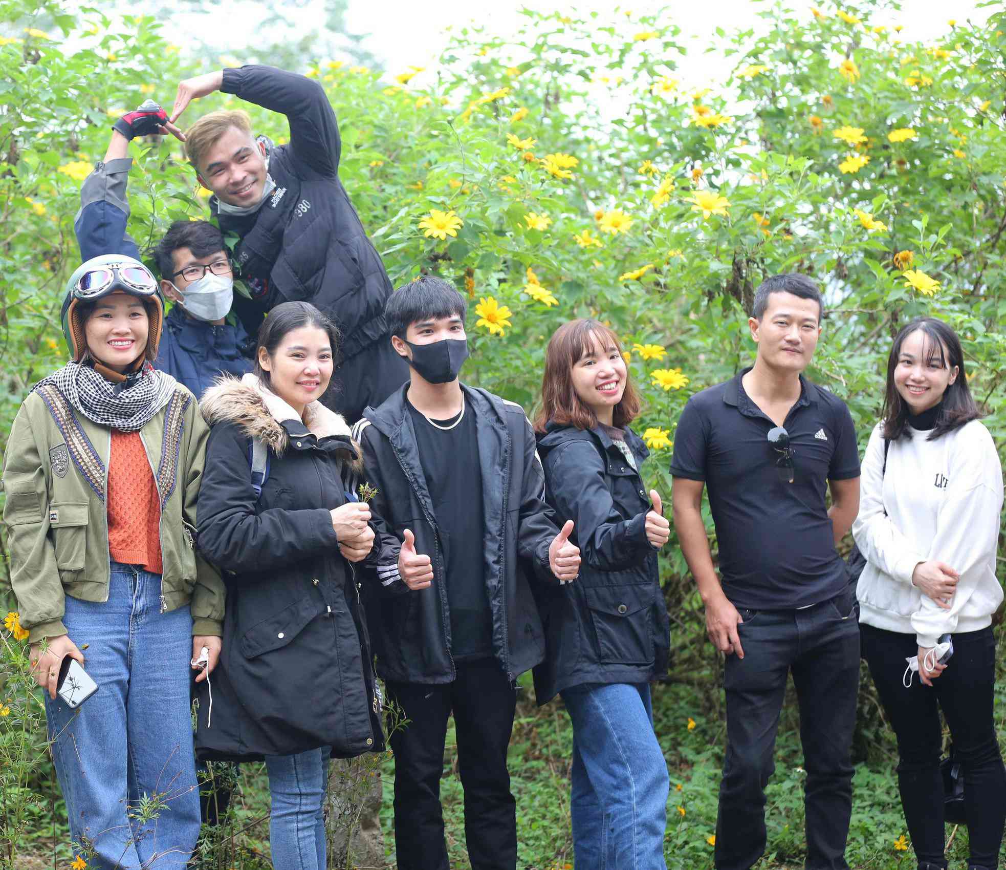 Tháng 11, mùa hoa dã quỳ bắt đầu nở rộ, vườn quốc gia Ba Vì (Hà Nội) lại thu hút hàng ngàn lượt du khách, đặc biệt là giới trẻ ghé thăm, chụp ảnh check in.