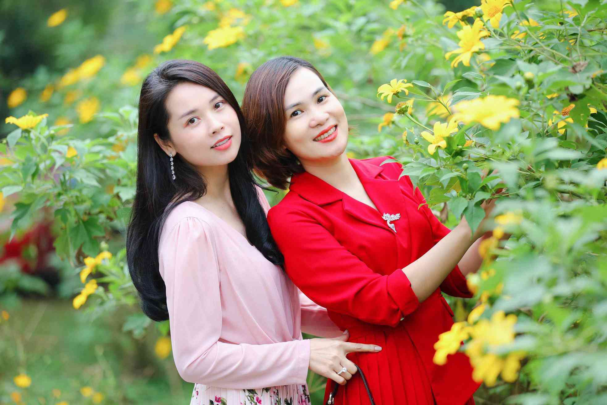 Lên Ba Vì vào ngày cuối tuần đẹp trời xen lẫn chút se se lạnh, đôi bạn thân Thủy, Hà ở quận Cầu Giấy chia sẻ : Chúng mình bị hoa dã quỳ hớp hồn mất rồi, chỉ muốn đắm chìm trong những thảm hoa vàng rực rỡ nơi đây.