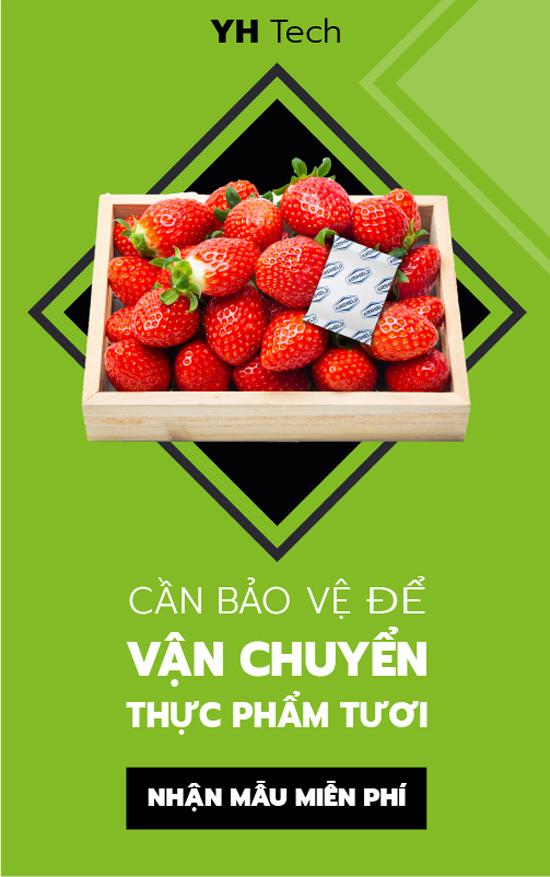 Giải pháp tăng thời gian bảo quản cho lưu thông hàng nông sản bằng cách quản lý vi sinh vật - 2