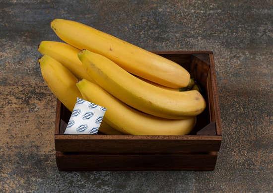 Giải pháp tăng thời gian bảo quản cho lưu thông hàng nông sản bằng cách quản lý vi sinh vật - 6