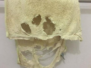 Nhà đẹp - Những món đồ này là ổ vi khuẩn, đắt tiền đến đâu dùng lâu cũng vứt đi đừng tiếc