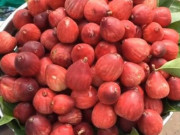 Tiêu dùng - Loại quả xưa chín rụng vứt đi không ai nhặt, nay là đặc sản lạ 150.000đồng/kg, bao người nhầm lẫn