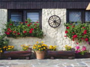 Eva tám - Trắc nghiệm tâm lý: Căn nhà muốn sống khi về già tiết lộ tương lai giàu có của bạn