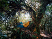 Xem ăn chơi - Lạc vào vương quốc rêu xanh đẹp ma mị trên đỉnh Tà Xùa