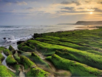 Sở hữu rạn san hô xanh mướt mắt, làng chài nhỏ bé thu hút hàng ngàn du khách