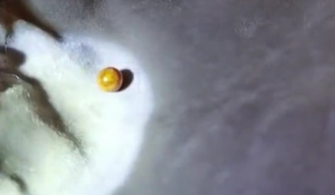 Đang ăn hải sản cắn phải amp;#34;hạt sạnamp;#34; to đùng, sung sướng khi vớ bẫm khoản tiền lớn - 2