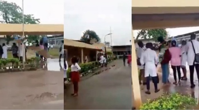 Chuẩn bị giải phẫu người phụ nữ, sinh viên choáng nặng khi thi thể mở mắt, đứng dậy đi lại - 2