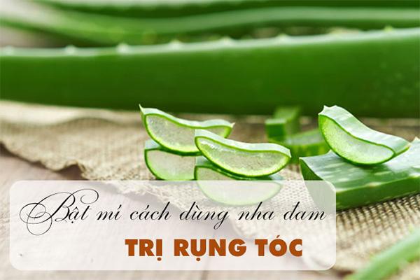 18 cách trị rụng tóc tại nhà nhanh nhất từ nguyên liệu thiên nhiên - 3