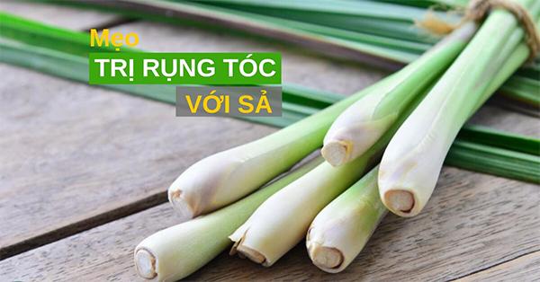 18 cách trị rụng tóc tại nhà nhanh nhất từ nguyên liệu thiên nhiên - 5