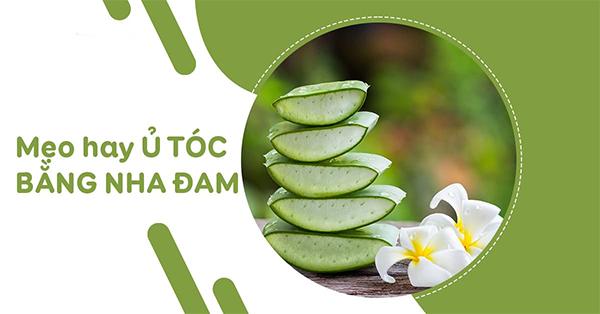 Nha đam có tác dụng gì với da mặt và làm đẹp ? - 7