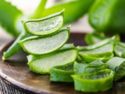 Sức khỏe - Nha đam có tác dụng gì? Một số tác hại khó lường khi dùng nha đam không đúng