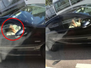 Tin tức - Chàng trai thản nhiên mút ngón chân bạn gái khi đang lái xe, người đi đường choáng váng