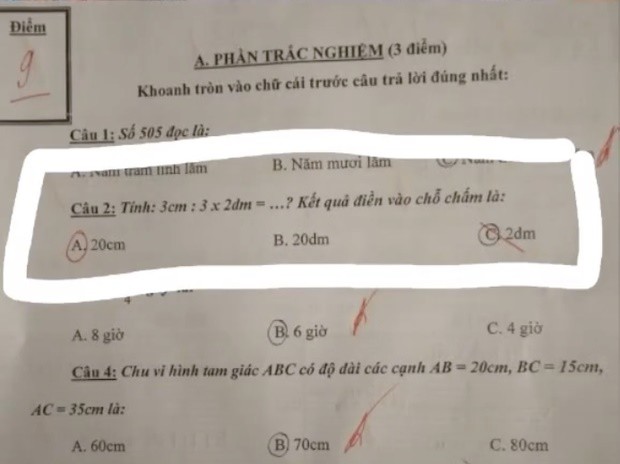 Con làm toán 3:3x22 bị cô giáo phê sai, mẹ thắc mắc hỏi dân mạng liền có đáp án - 1