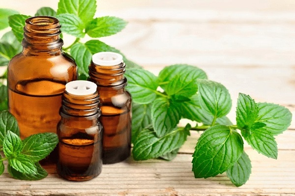 8 Cách diệt gián tận gốc tại nhà hiệu quả, khiến gián ra khỏi nhà vĩnh viễn - 10