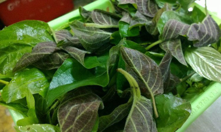 Loại lá xưa bỏ đi bất ngờ thành đặc sản phố thị 150.000đồng/kg, chị em nội trợ ưa chuộng - 4