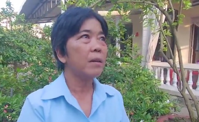 Giàn hoa giấy khủng amp;#34;quay mãi không thấy ngọnamp;#34; được định giá 7 tỷ: CĐM ngỡ ngàng với sự thật - 4