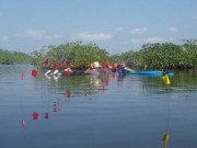 Xem ăn chơi - Kinh ngạc "thế giới vượt thời gian" của người Maya giấu dưới đầm nước
