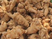 Xem ăn chơi - Loại củ vô cùng quý hiếm, người có tiền muốn mua chưa chắc được, giá lên tới 2.000.000/kg