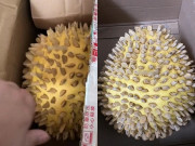 Tin tức - Săn sale online một quả sầu riêng, khách hàng mở ra thì "ngã quỵ" với thứ bên trong