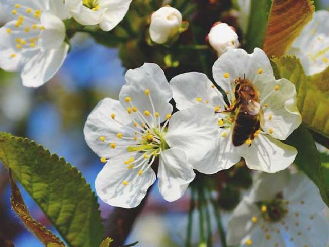 Tài giỏi đến đâu cũng đừng đối đầu với 4 người này, đó mới là khôn ngoan