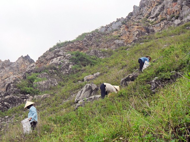 Việt Nam có món đặc sản vô cùng hiếm với tên đặc biệt, người có tiền muốn ăn cũng khó - 3