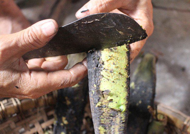 Loại quả dại chẳng mấy ai biết là đặc sản Nghệ An, dân thành phố lùng mua mà không có - 2