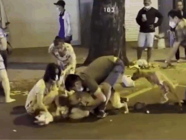 Clip Eva - Alaska bị 2 con chó Pitbull tấn công điên cuồng ngay giữa phố