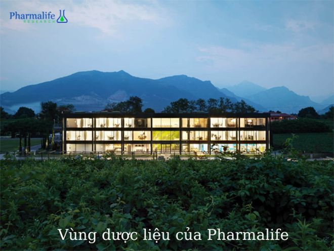 amp;#34;Siro ho cảm đắt nhất thị trườngamp;#34; có gì đặc biệt? - 2