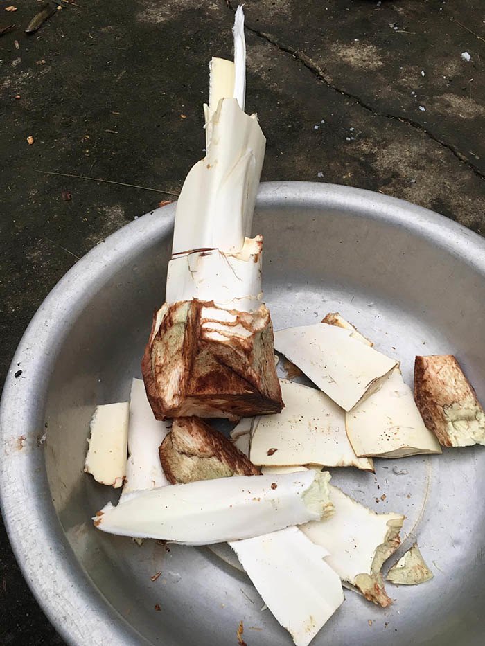 Sau khi bỏ hết phần thô bên ngoài là lớp củ hũ trắng nõn