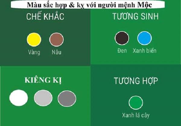 Mệnh Mộc Hợp Với Màu Nào?