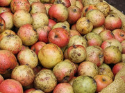 Xem ăn chơi - Loại quả xưa có đầy không ai ăn, giờ thành đặc sản được ưa chuộng, giá thành gây bất ngờ