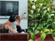Bếp Eva - Sao nam mua lá rừng về cho vợ nấu canh, cười sặc vì tên lạ, cuối cùng "quê một cục"