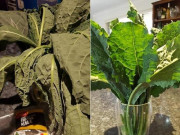 Bếp Eva - Thấy rau héo đừng vứt đi, làm cách này biến rau tươi trở lại như vừa mới mua