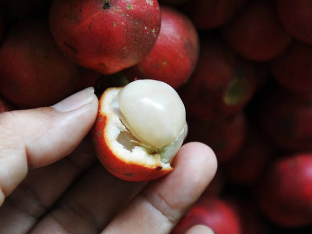 Loại quả xưa chín không thèm hái bất ngờ thành đặc sản lạ 120.000đồng/kg, chị em amp;#34;săn lùngamp;#34; ráo riết - 6