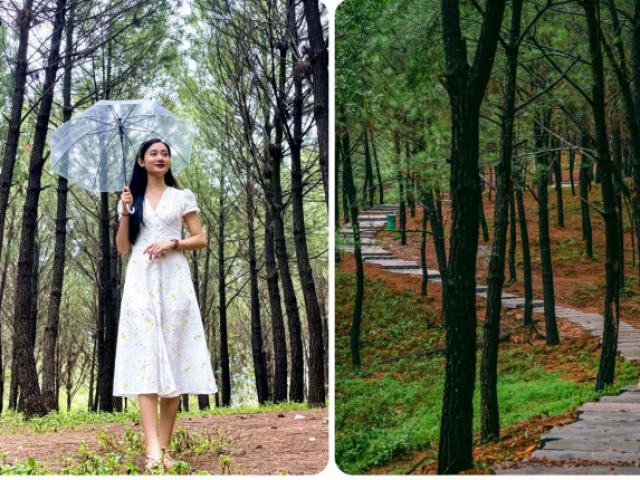 Đồi thông thơ mộng nhất xứ Huế, mắt thần ngắm trọn sông Hương