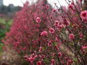 Tin tức - Năm 2022, người lao động dự kiến có 22 ngày nghỉ lễ, Tết hưởng nguyên lương