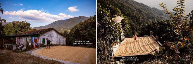 Về Bình Liêu ngắm sắc đỏ của người Dao Thanh Phán - 5