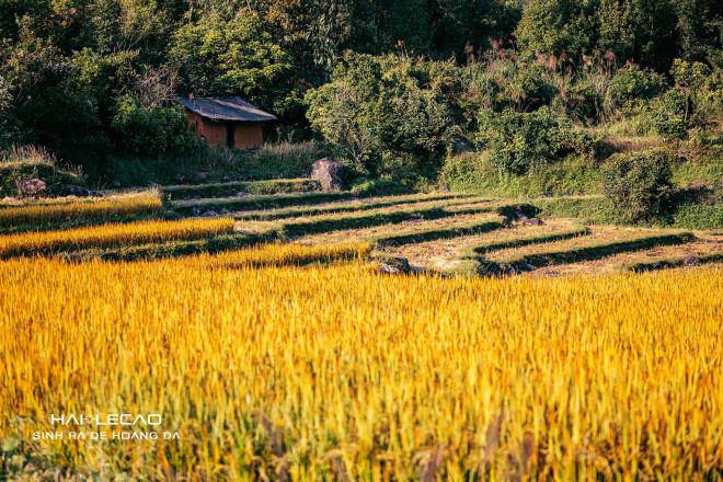 Về Bình Liêu ngắm sắc đỏ của người Dao Thanh Phán - 11