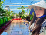 Nhà đẹp - Nữ giám đốc xinh như Hoa hậu hy sinh da trắng làm vườn sân thượng 170m2, ai cũng xuýt xoa