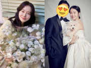 Giải trí - Ảnh hậu chưa từng thất bại ở showbiz, lấy chồng bác sĩ, 41 tuổi lần đầu ốm nghén