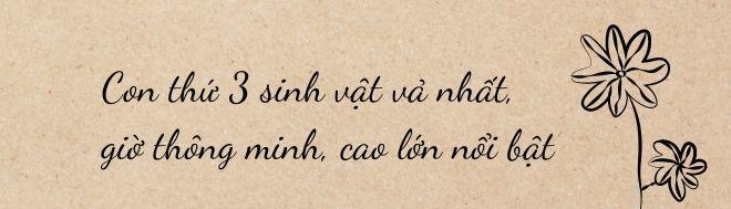 Đăng quang rồi amp;#34;ở ẩnamp;#34;, người đẹp Thái Nguyên có thai, con sinh thiếu tháng giờ thông minh amp;#34;hơn ngườiamp;#34; - 7