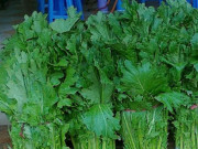 Xem ăn chơi - Loại rau có tên lạ trở thành đặc sản nổi tiếng, muốn mua rất khó bởi lý do không ngờ