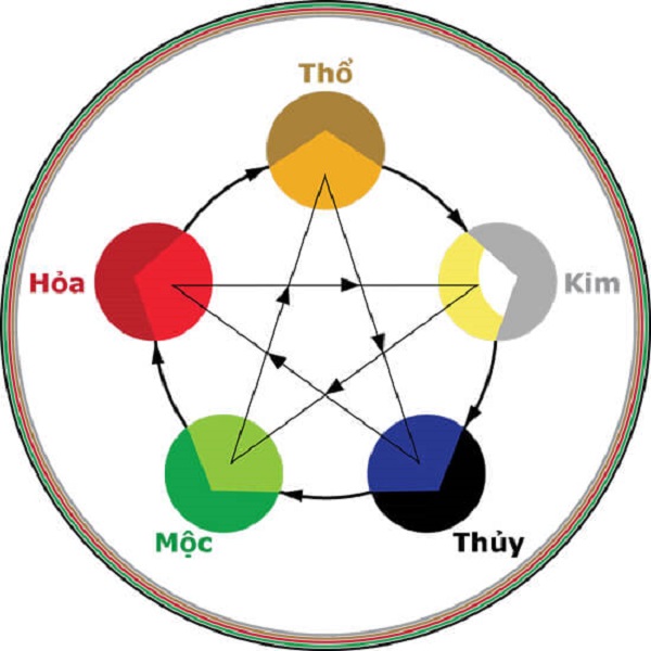 Hợp Mệnh Mộc: Bí Quyết Tìm Hiểu Phong Thủy Cho Người Mệnh Mộc