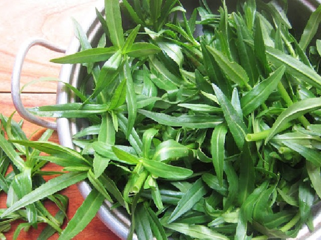 Rau ngổ được chế biến thành nhiều món ngon.