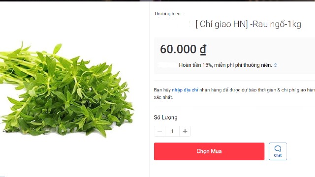 Rau ngổ đất được bán với giá 60.000 đồng/kg.