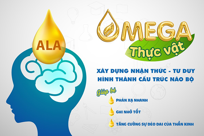 emVideo vai trò của Omega thực vật với sự phát triển trí não của trẻ nhỏ, đặc biệt là bé chậm nói/em