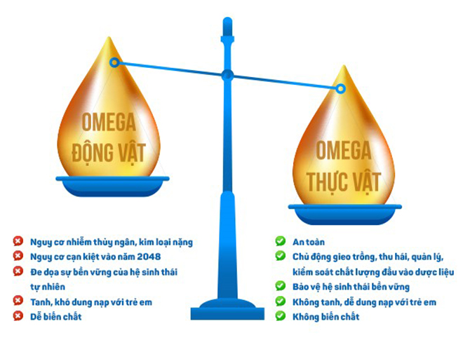 Sự thật về Omega thực vật và Omega động vật, mẹ cần biết - 2