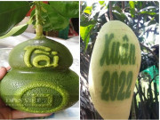 Tiêu dùng - Hoa quả độc-lạ Tết 2022: Ở miền Tây có tiền cũng khó mua bưởi hồ lô, dưa hấu thỏi vàng?