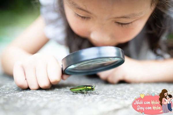 Nếu một đứa trẻ càng tò mò, điều đó chứng tỏ trẻ được sinh ra để học hỏi.